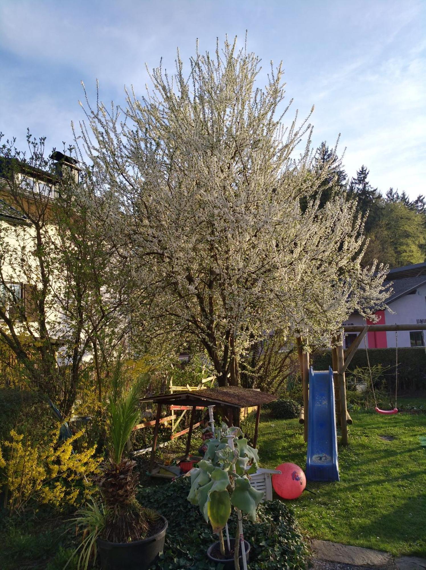 Haus Friedburg Lägenhet Velden am Wörthersee Exteriör bild