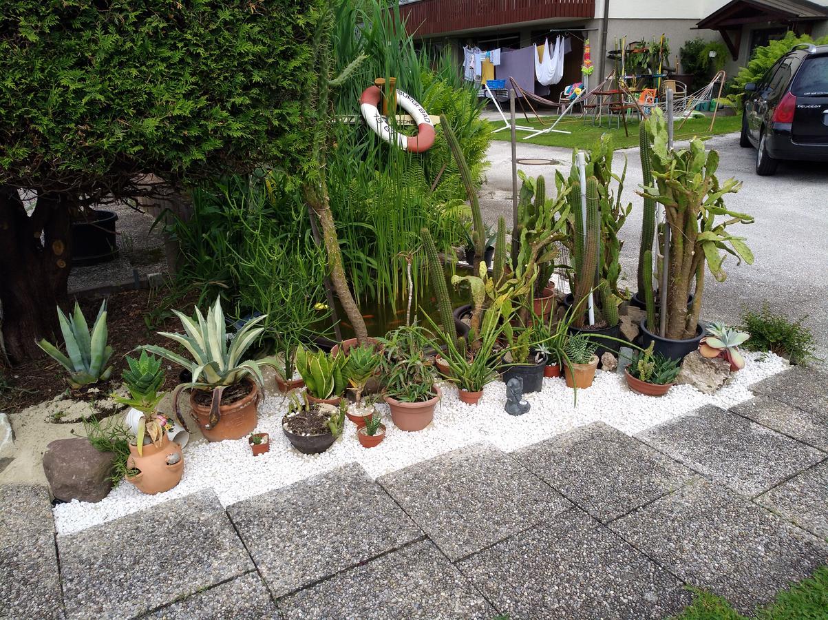 Haus Friedburg Lägenhet Velden am Wörthersee Exteriör bild
